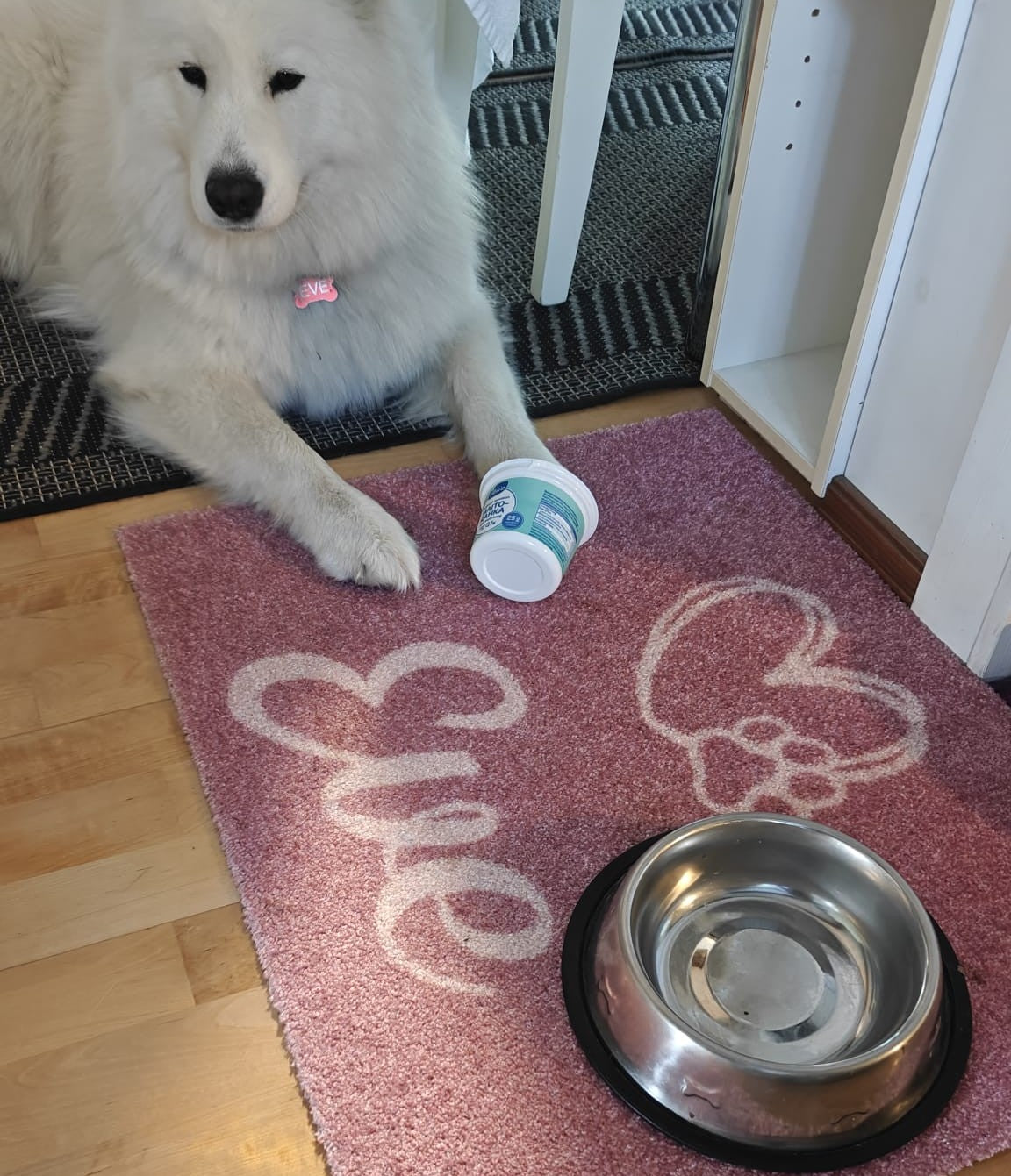 Matto lemmikin nimellä