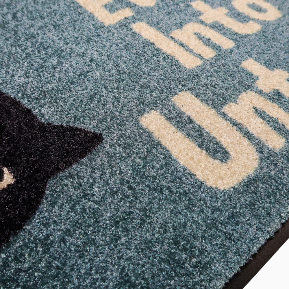 Personoitava matto kissan nimellä - kissan tassut ja silmät