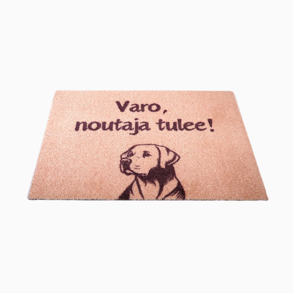 Ovimatto - Varo, labradorinnoutaja tulee!