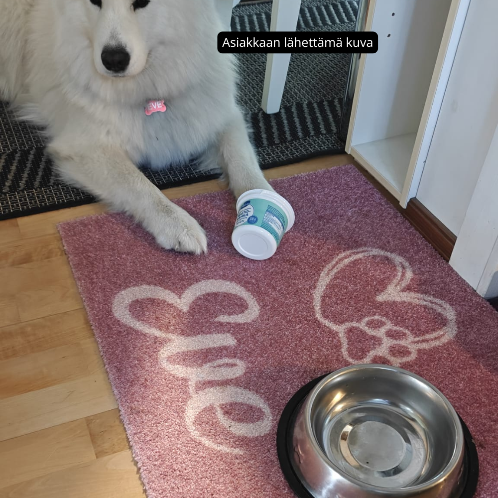 Personoitava matto 2-3 lemmikin nimellä