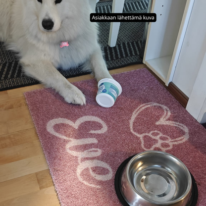 Personoitava matto 2-3 lemmikin nimellä